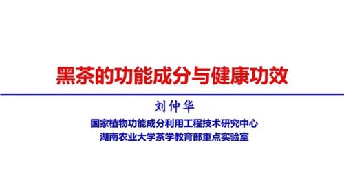 茶的功能成分與健康功效 | 茶、飲茶與健康