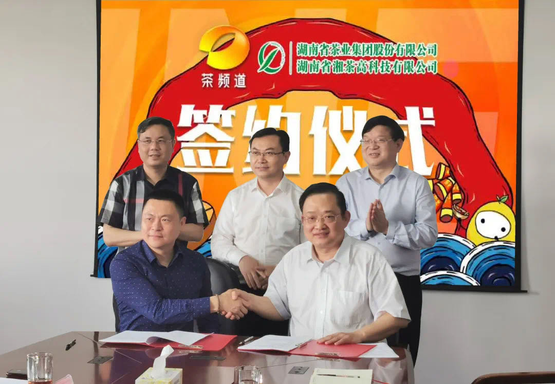 院士見證，輕輕茶發(fā)力品牌建設(shè)，與茶頻道達(dá)成深度合作